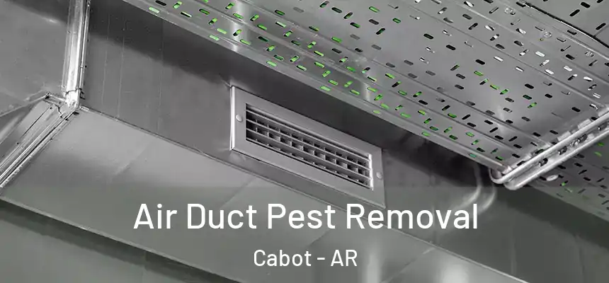 Air Duct Pest Removal Cabot - AR