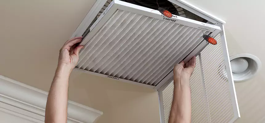 Preventive Cockroach-Proofing for Ducts in Cabot