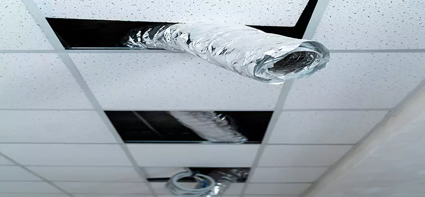 Our Air Duct Pet Hair Removal Services in Cabot, AR