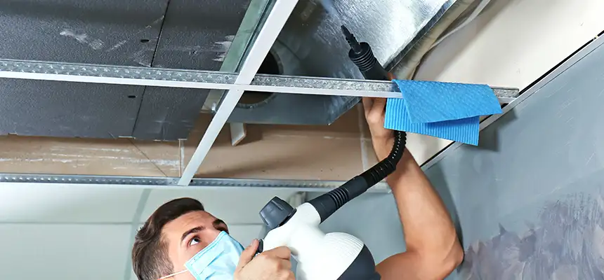 Our Air Duct Rodent Removal Services in Cabot, AR
