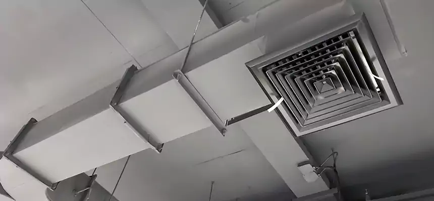 Restorative Allergy Relief Vent Cleaning – Coil, Blower & Housing Detail in Cabot