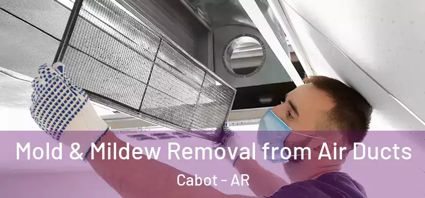  Mold & Mildew Removal from Air Ducts Cabot - AR