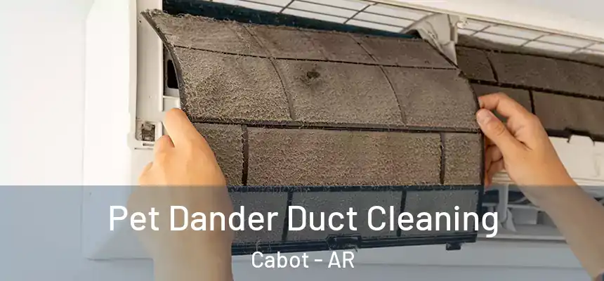 Pet Dander Duct Cleaning Cabot - AR