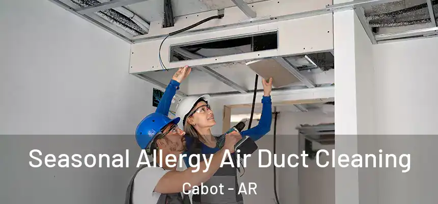 Seasonal Allergy Air Duct Cleaning Cabot - AR