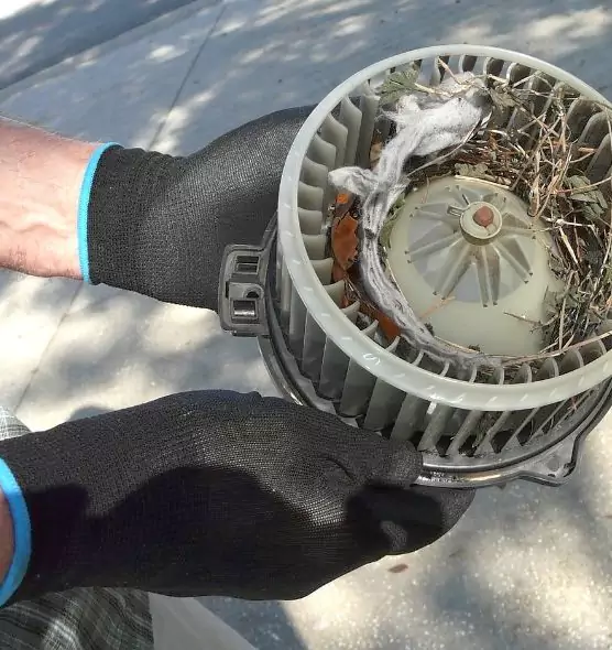 About Air Duct Mice Removal in Cabot, AR