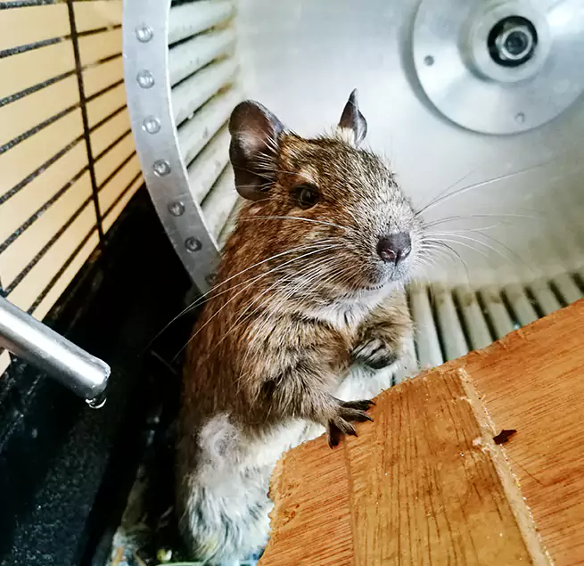 Why Homeowners & Businesses Trust Us Cabot, AR