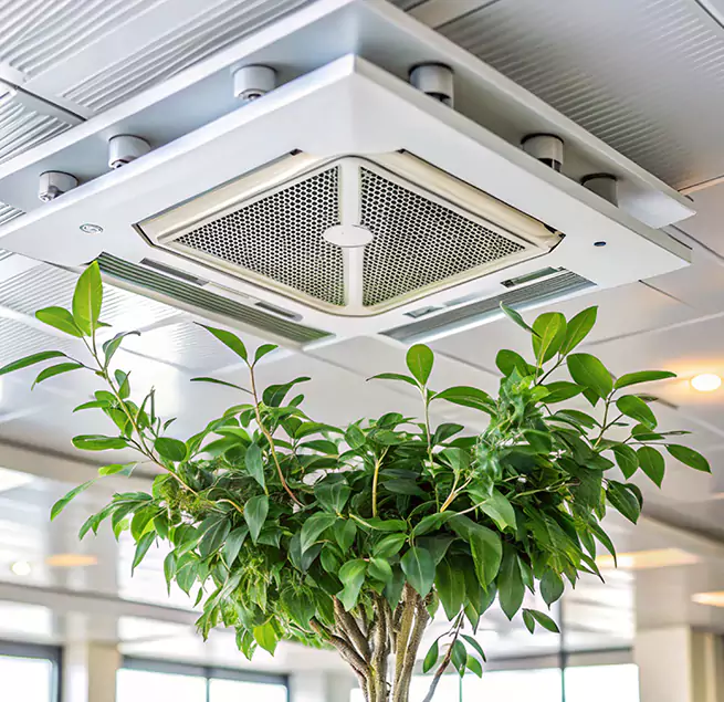 Why Homeowners & Businesses Trust Us in Cabot, AR